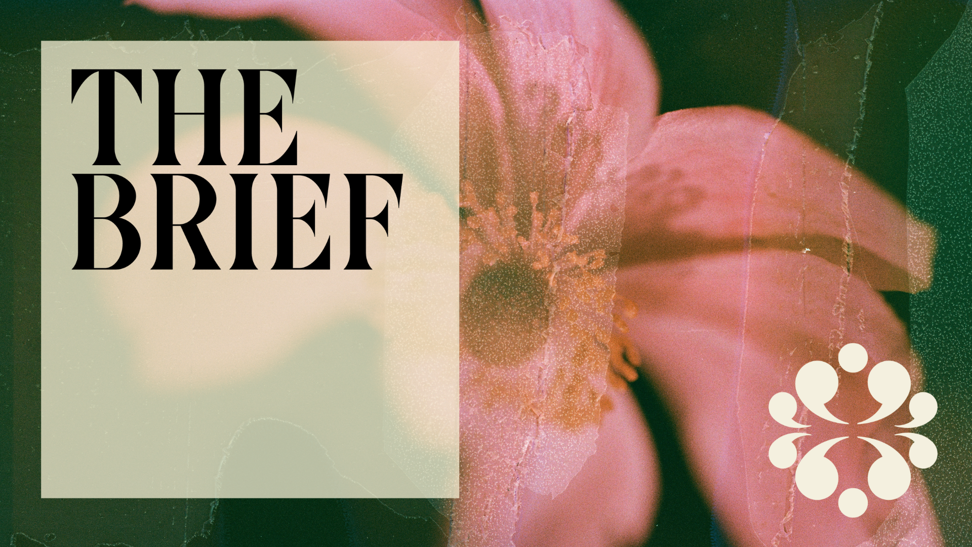 Press Releases Just Got Their Glow-Up