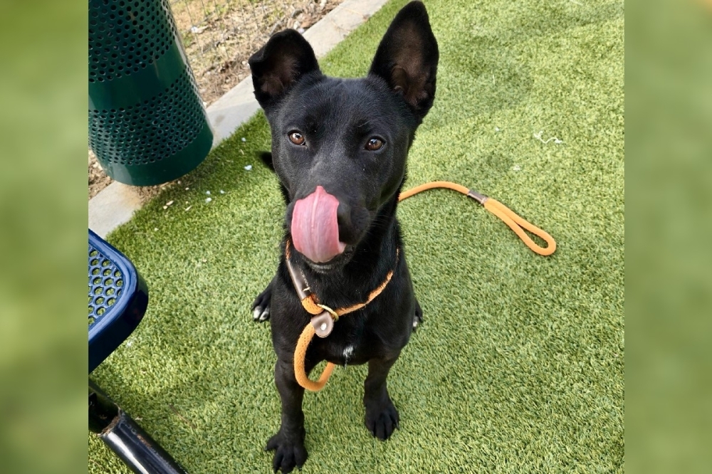 HTX-CYF: Impact 2/24/2026