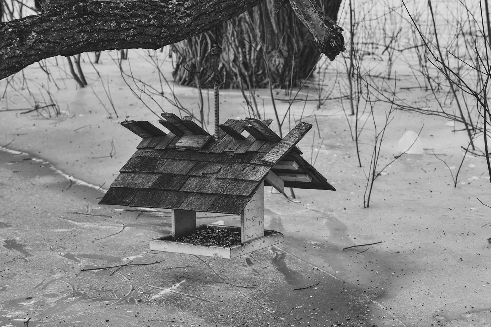 Edition no.45 - Jan 15, 2026