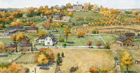 🔥butterflies and bees