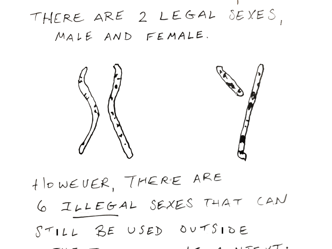 The Legal Sexes