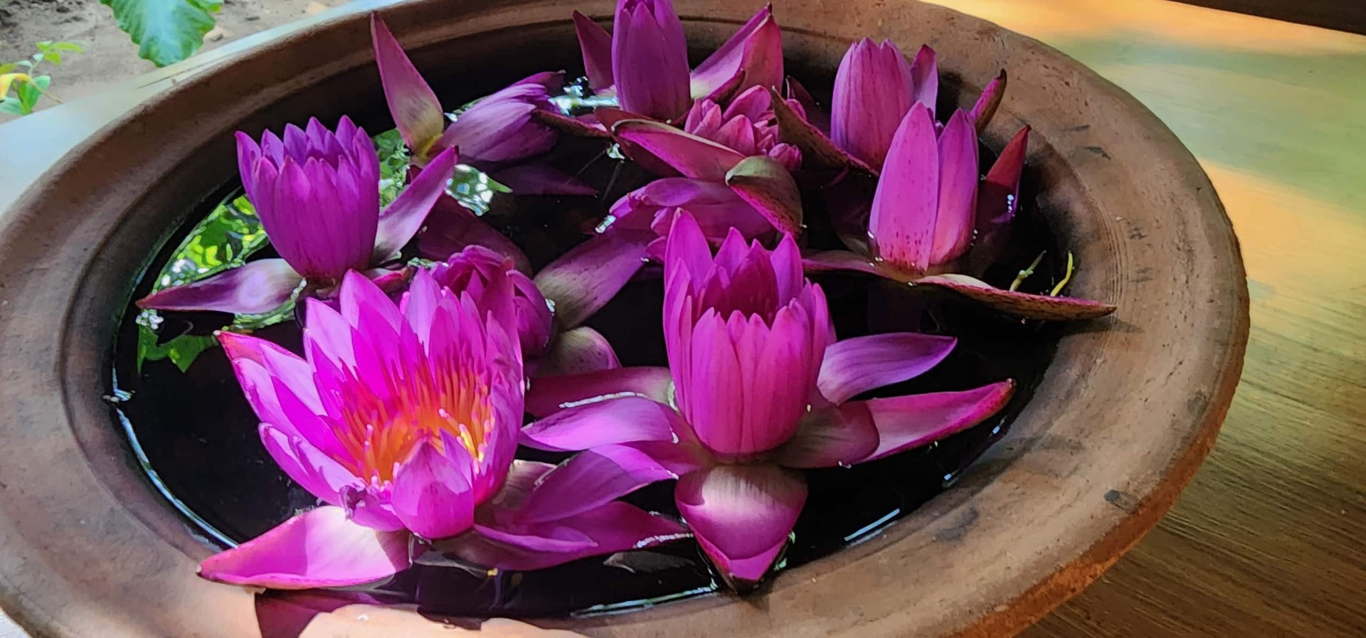 A Sense of Peace in Kosgoda, Sri Lanka