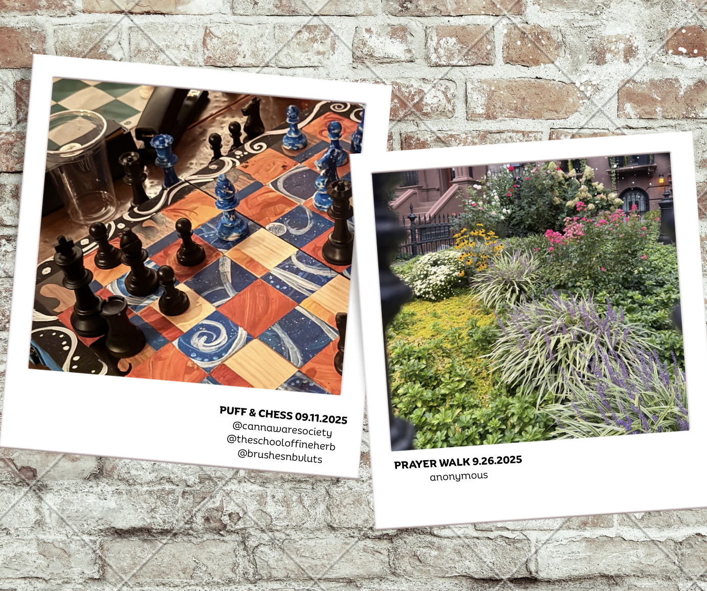 BEDSTUY U.N.I.T.Y | OCTOBER