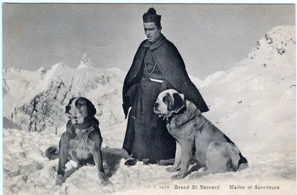 Today's Wisdom - Deliberation, Devotion & Domination