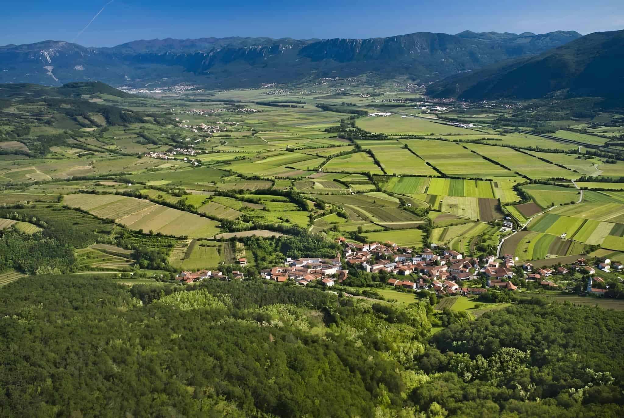 Under-the-Radar Wine Regions, Wine on Netflix, The Wine Time Machine, and much more...