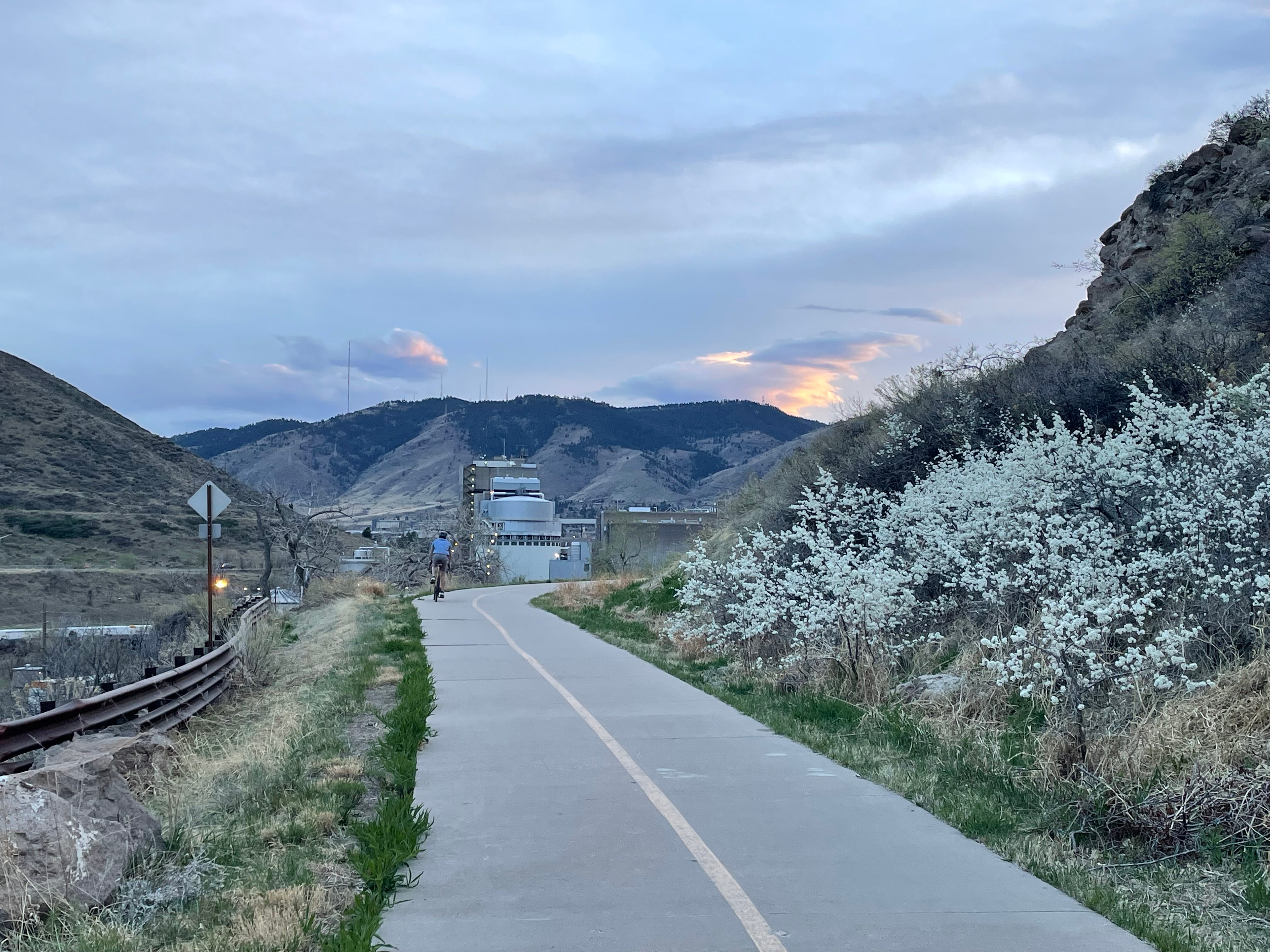 🪿 From book fairs to boat races