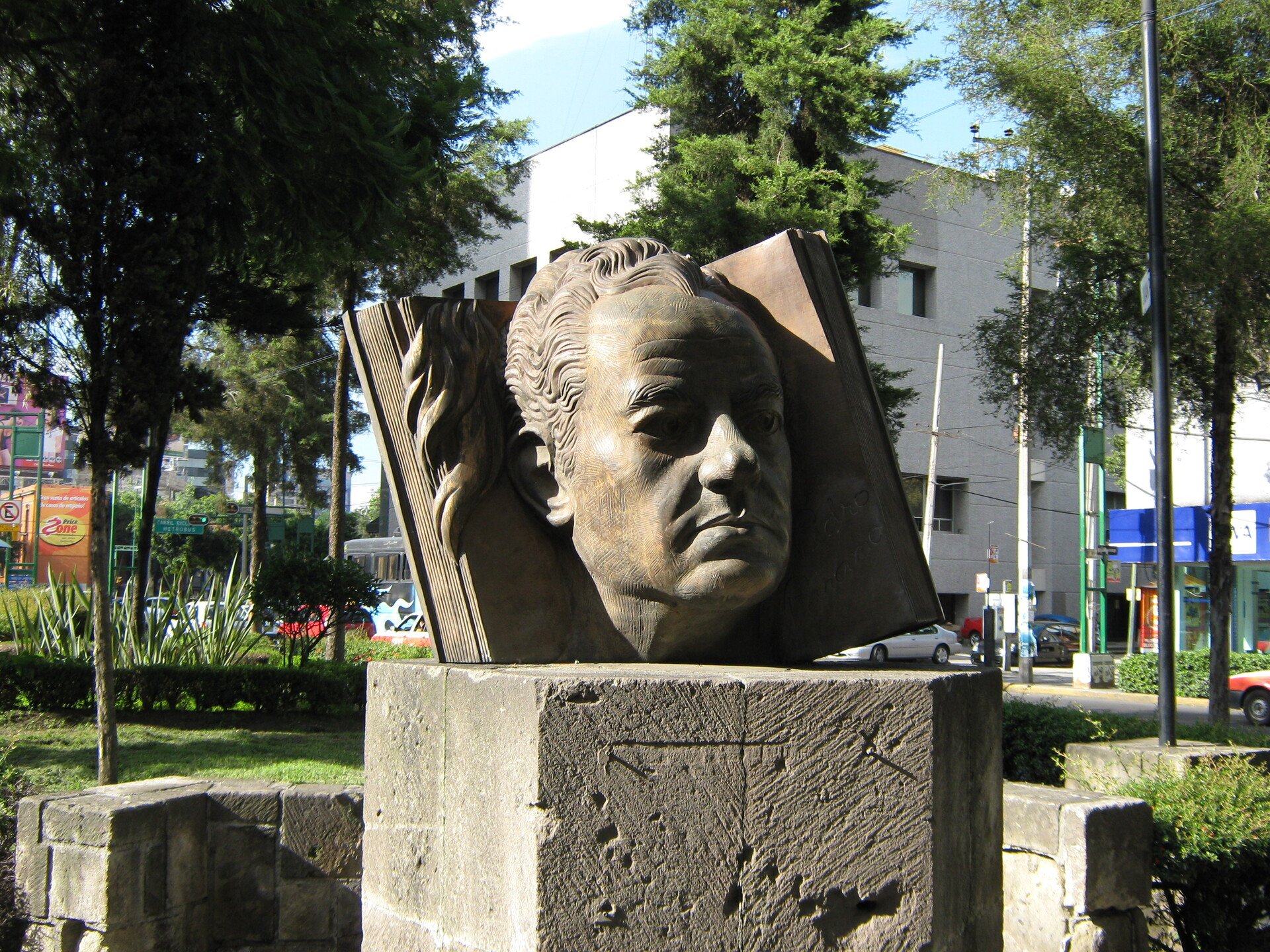 📚 The genius writer of few books