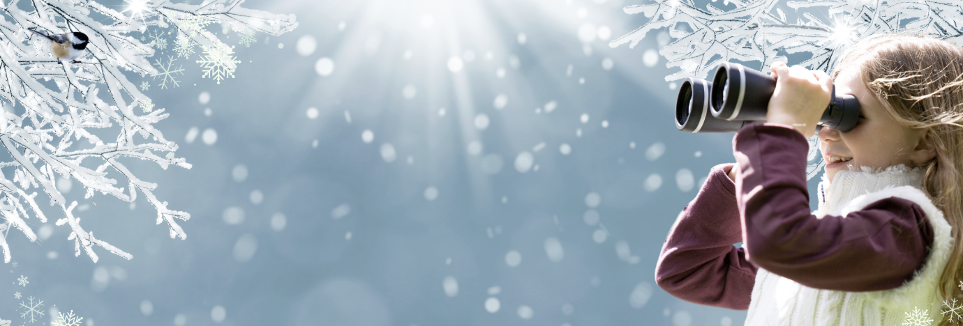 🍦 New Year's Levee, Bird Counting & a Trampoline Public Jump