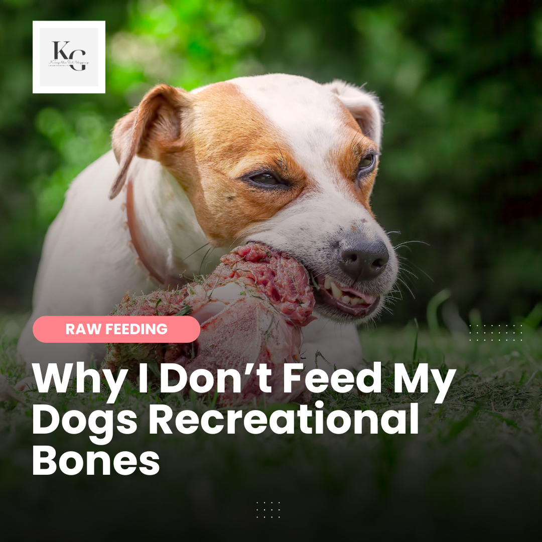 Why I Don’t Feed My Dogs Recreational Bones
