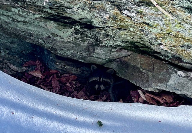 Dear Daybreak 3/5/26