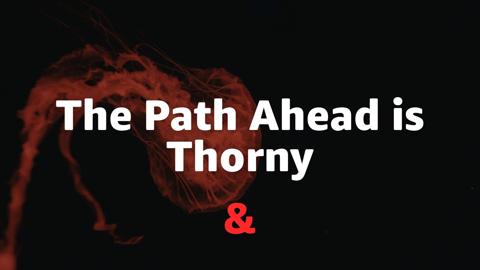 The Path Ahead is Thorny