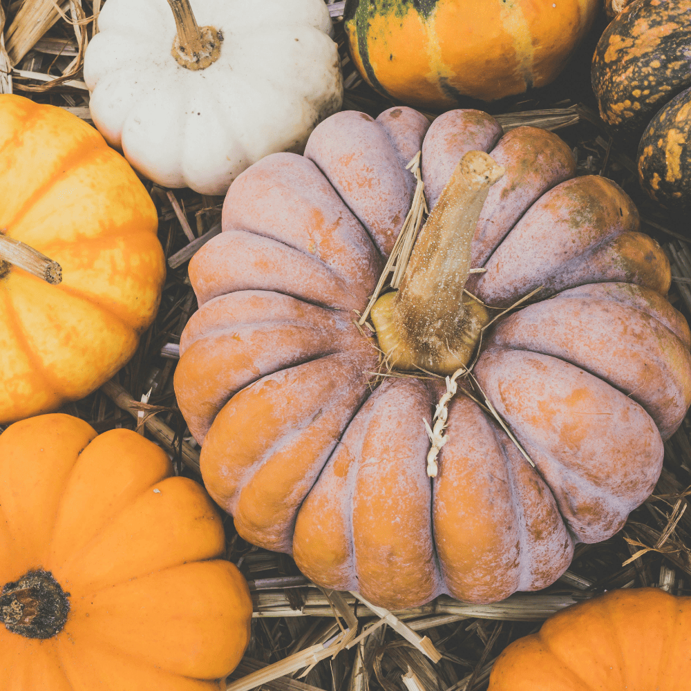 Hello Berlin! Here's what you need to know for your week Oct 1-5