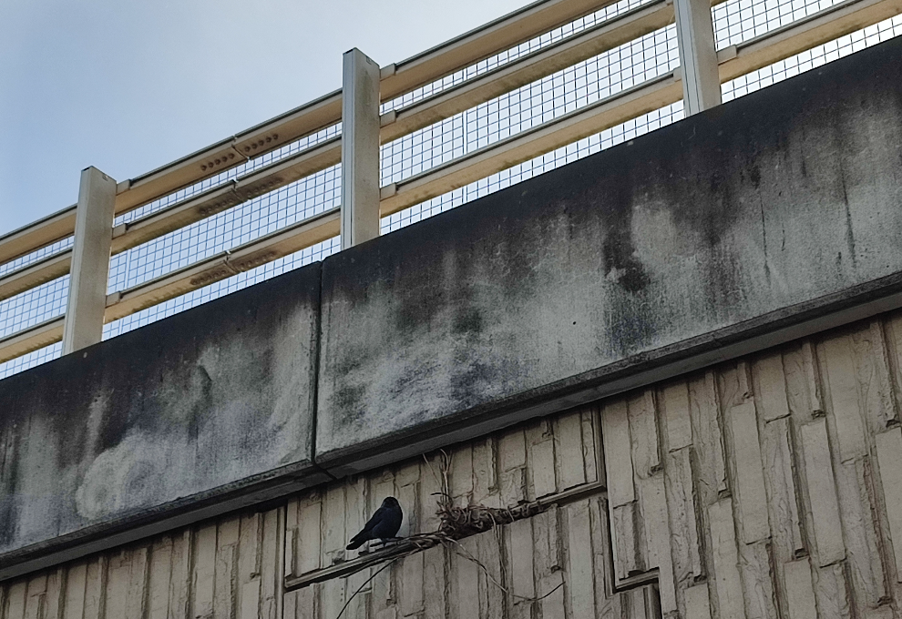 This Newsletter has a Predetermined End Date 1