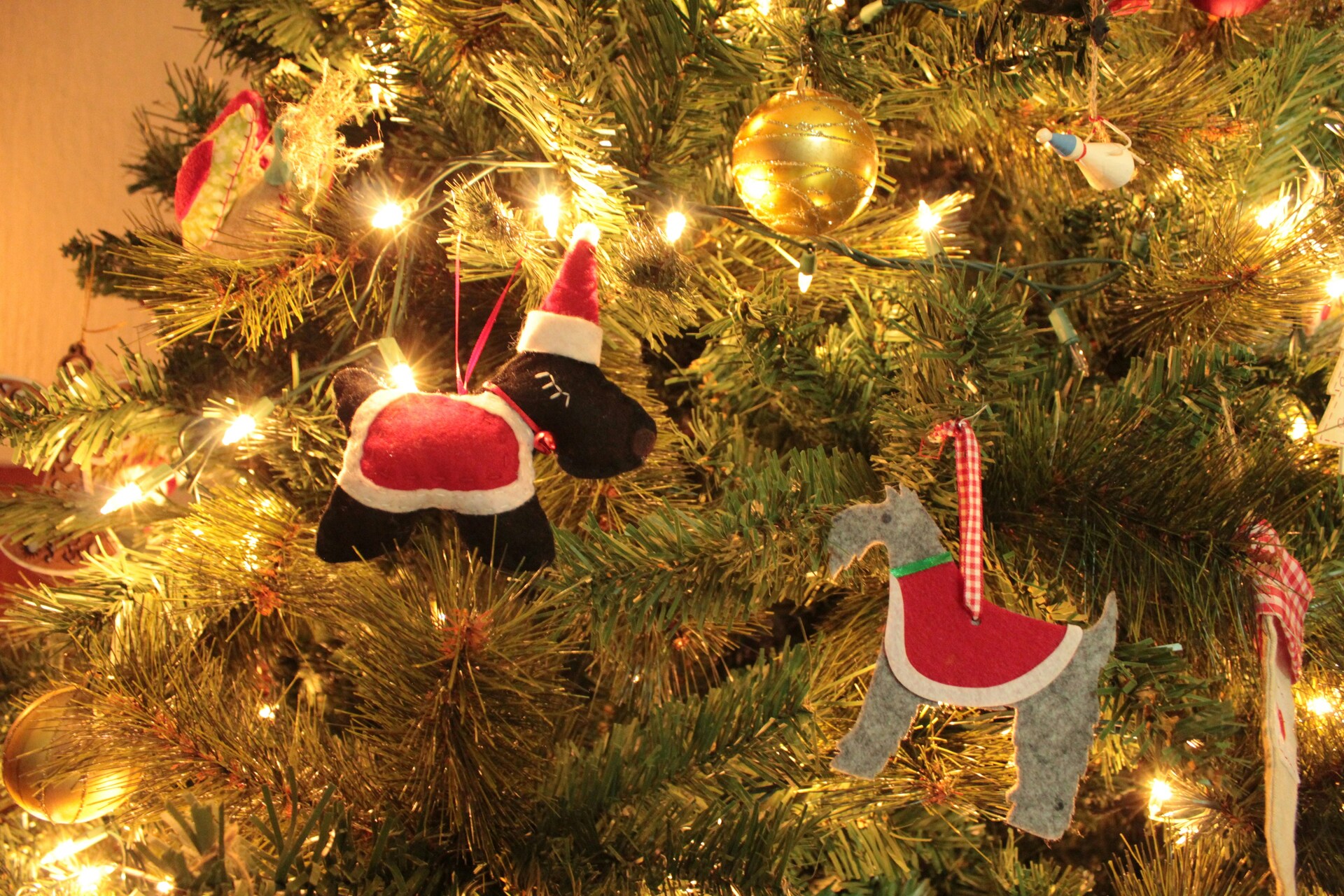 Your guide to Fraser Valley holiday events