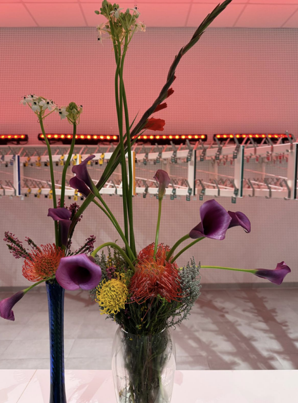 Creators Thursday Vol. II: Winter Bouquet Workshop with Bloomen Wien