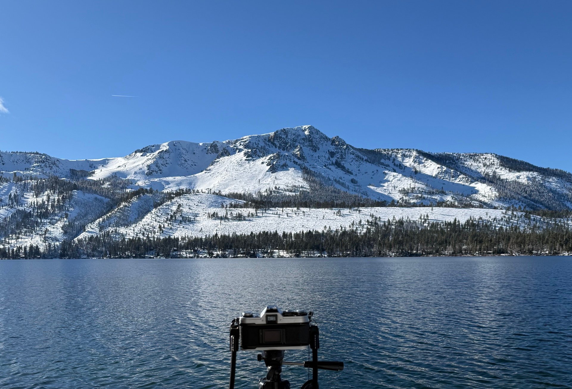 South Lake Scoop: Week of 12/29