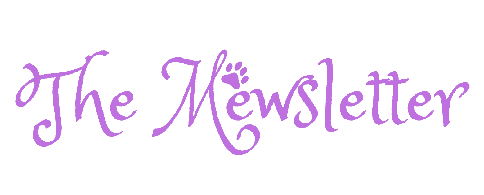 🐾 The Mewsletter: February '26
