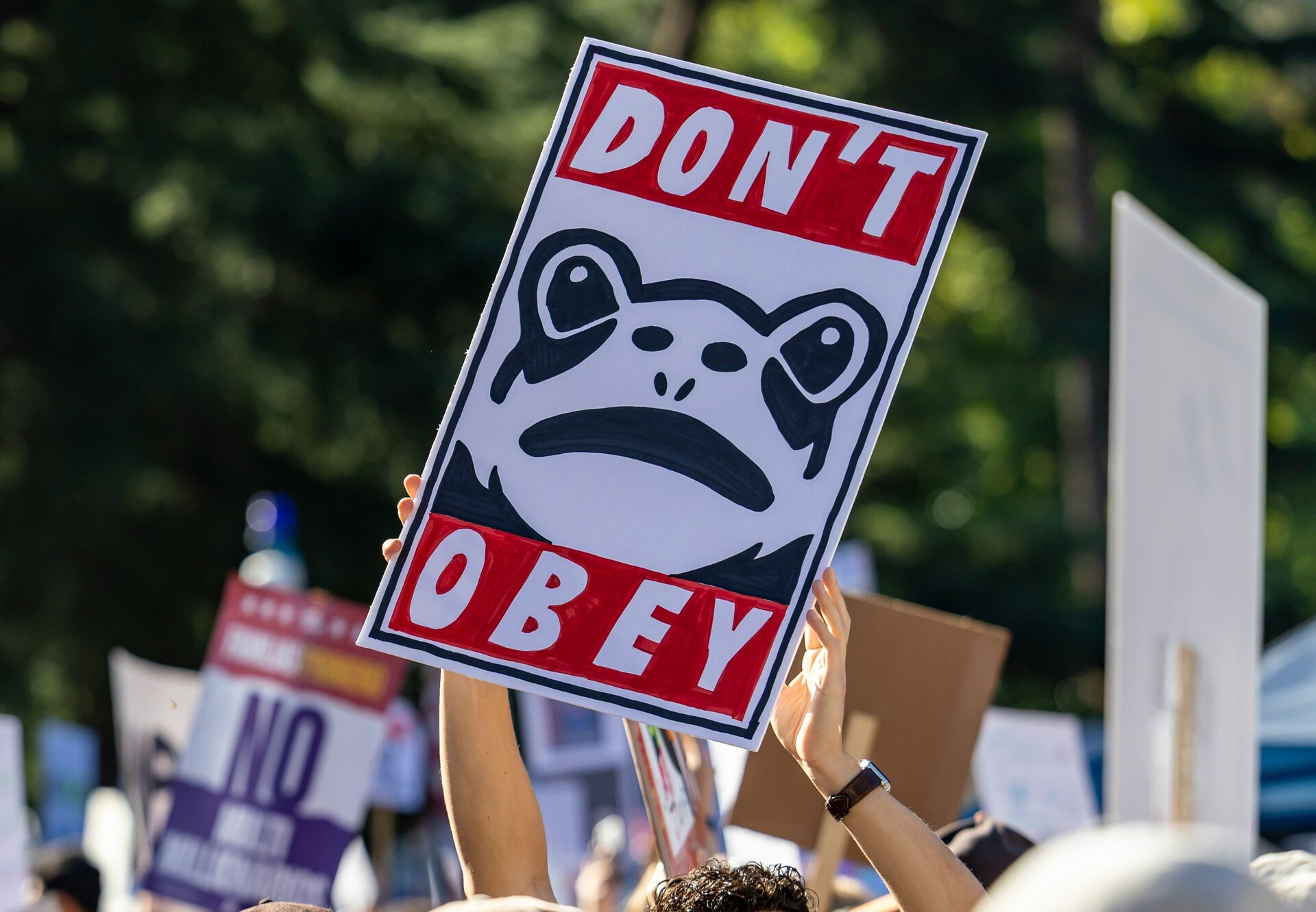 Social individualism