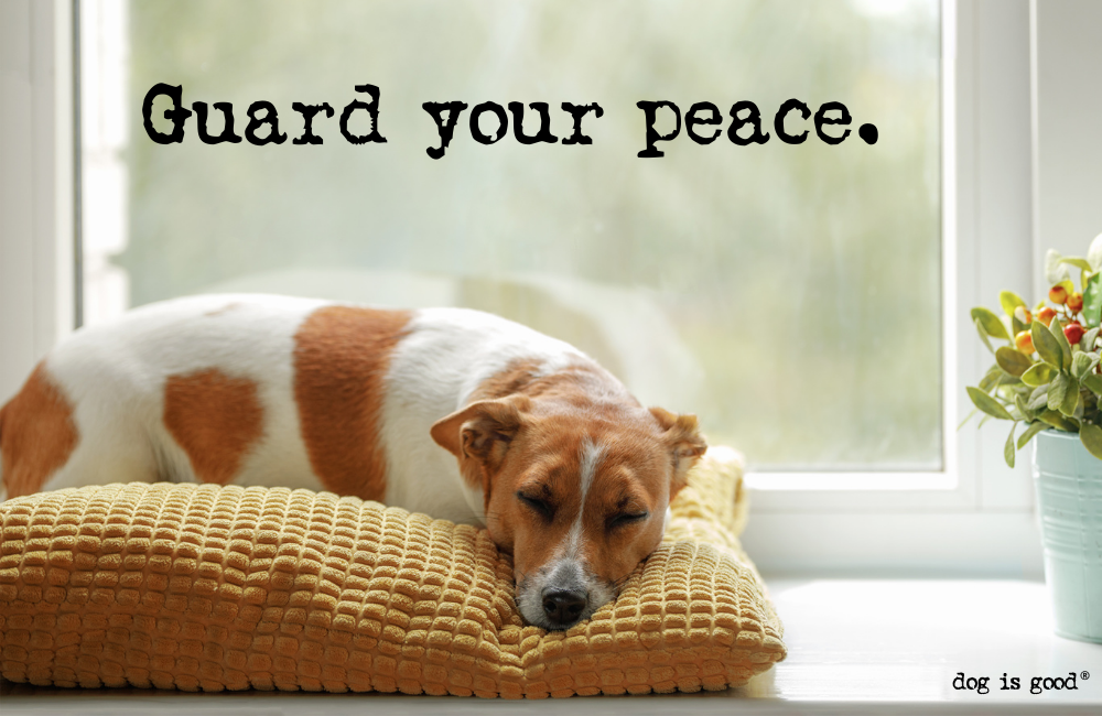 Guard Your Peace.