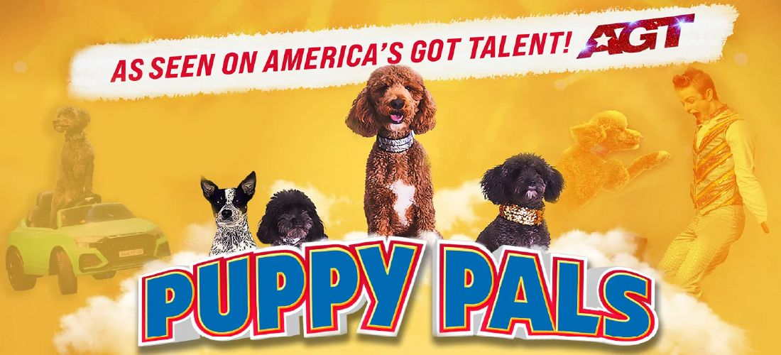 🟠 Puppy Pals LIVE & Food Fests