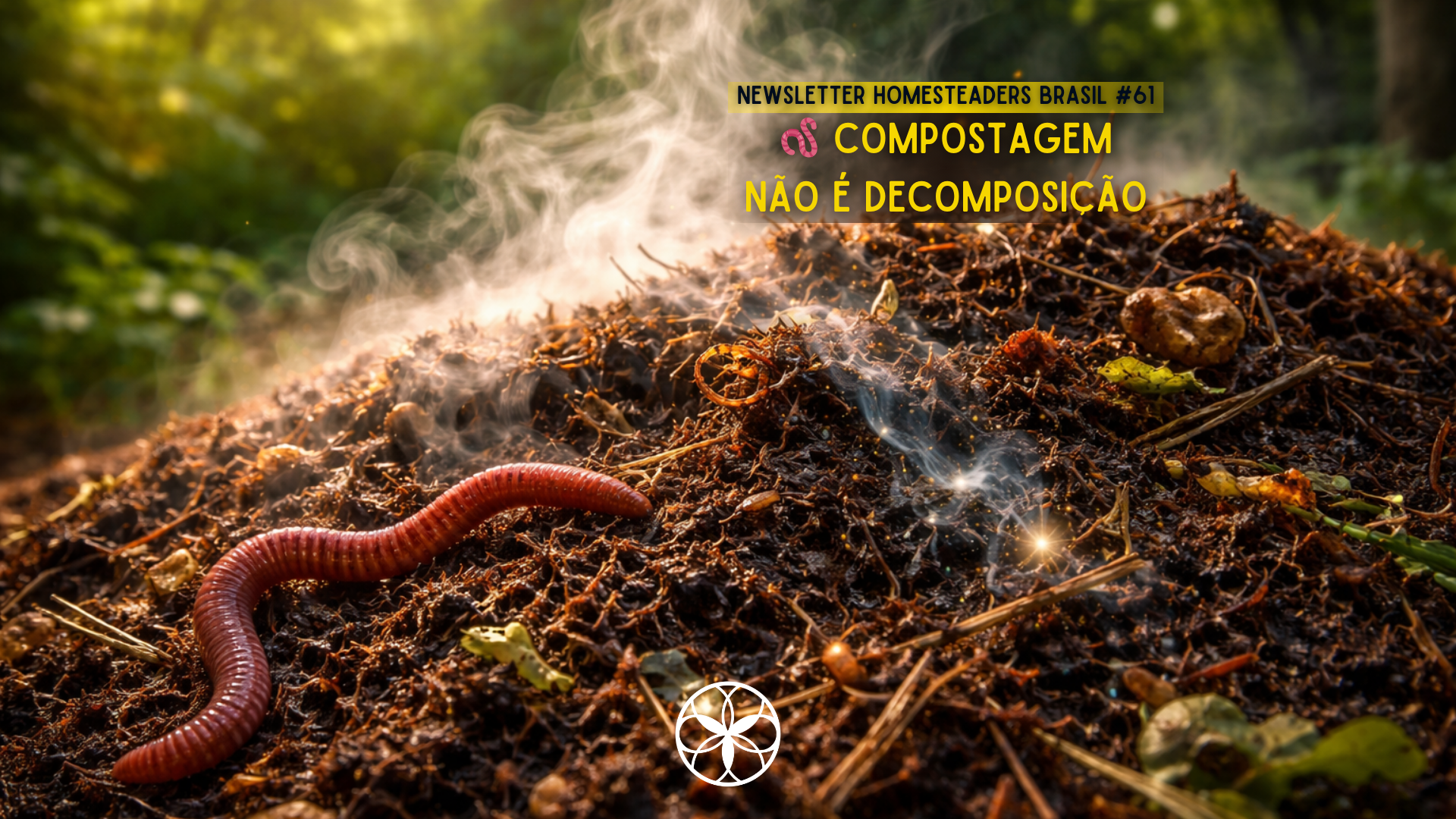 Homesteaders Brasil #61 | 🪱 Compostagem não é decomposição
