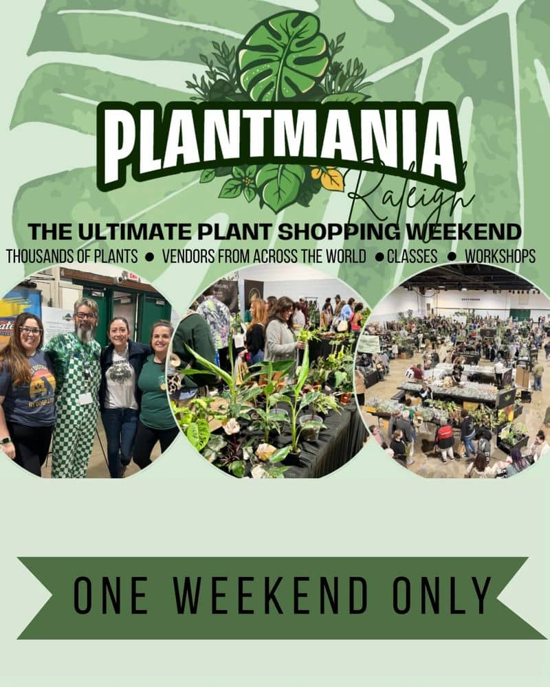 First Friday, Plantmania, & The Traveling Circus (March 4–10, 2025)