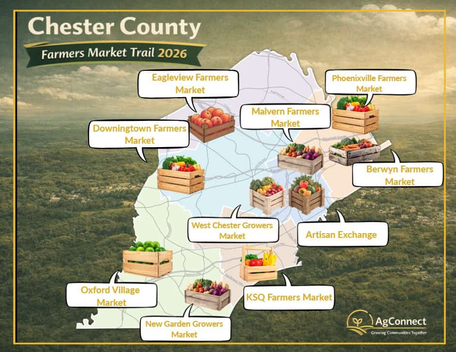 🌽 Farmers Market Trail Returns 🤝 Peer-Led Outreach for Local Veterans 🎬 Film Festival Panel 🇺🇸 America's 250th Commemorative Planting