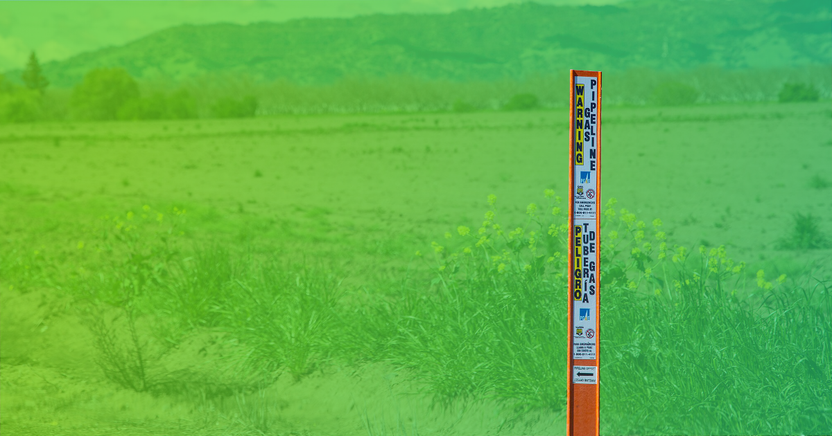 💸 Market Pressures Heading Into Summer