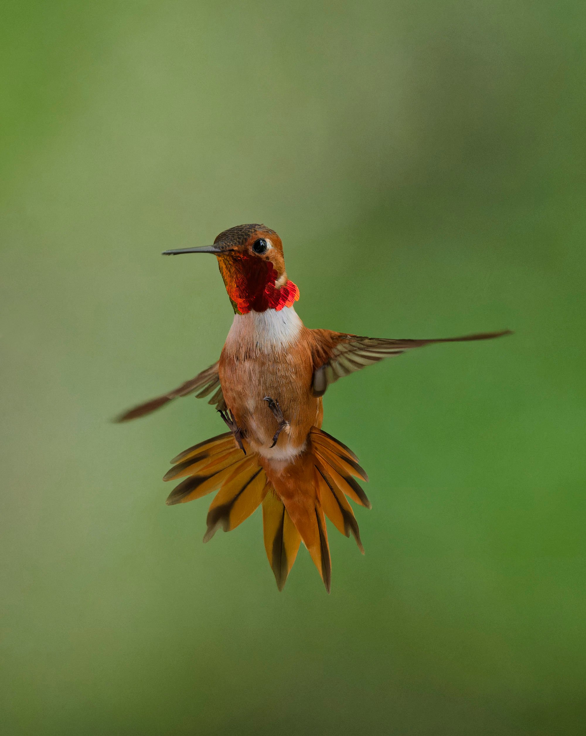 March 4 - Birds of a feather and new cohorts 