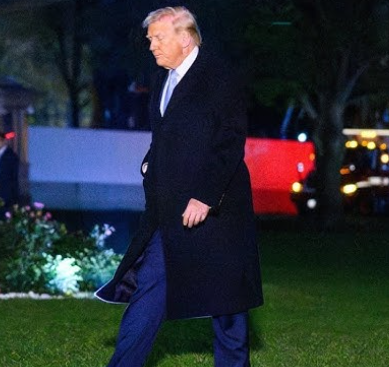 Trump Frees $1.6B Fraudster