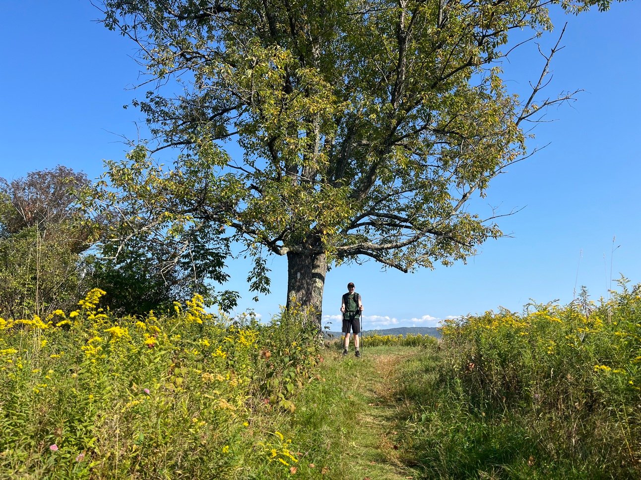 Meetings and Partings