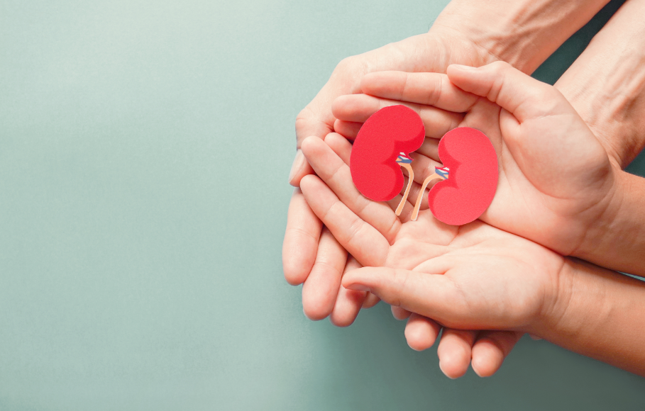 Calgary woman grateful after receiving life-changing organ donation