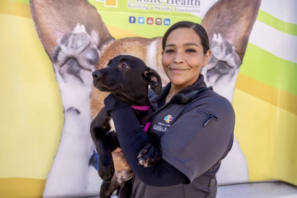 HTX-SKL: Impact 2/5/2026