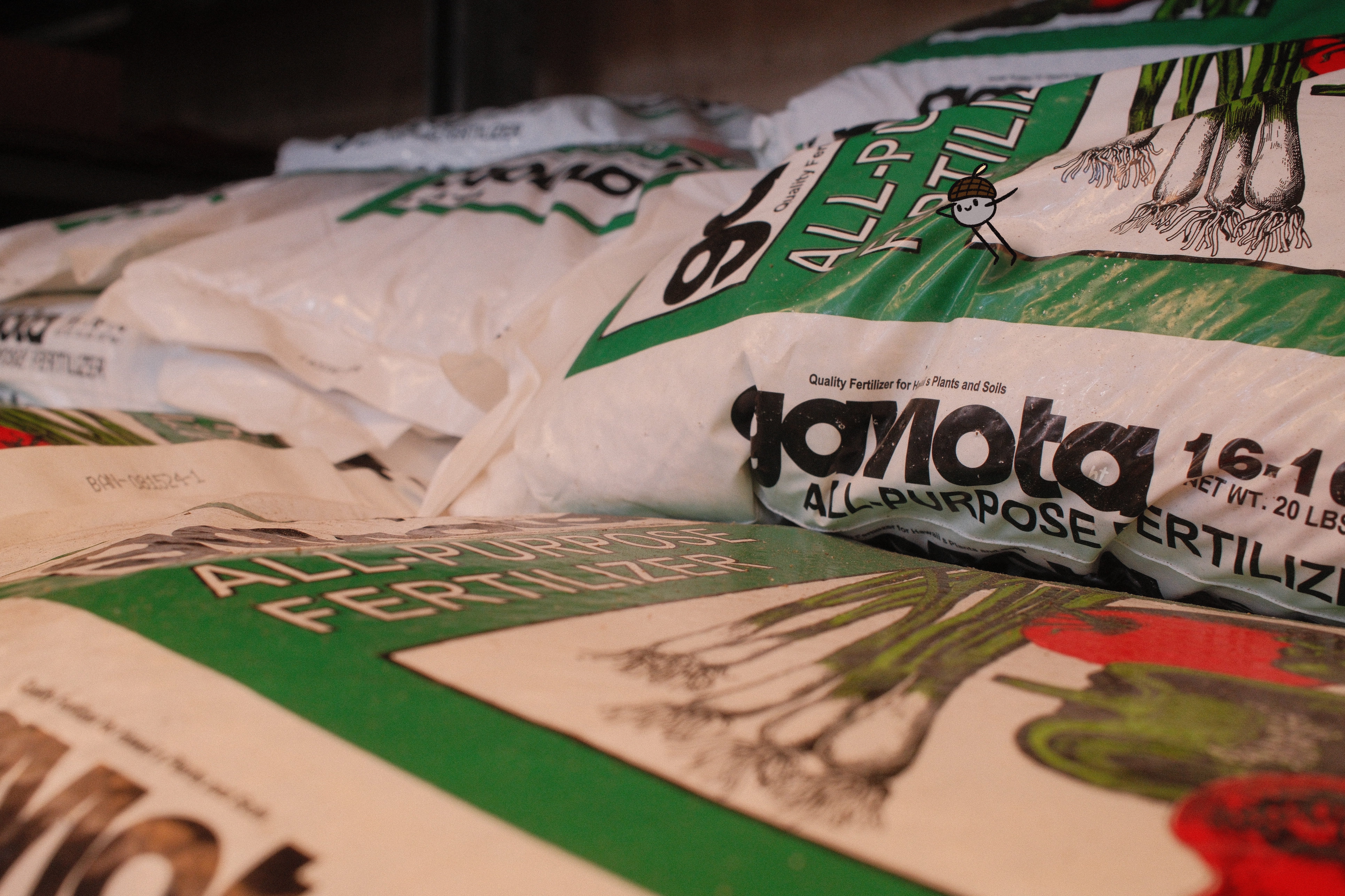 survey — pebble prose