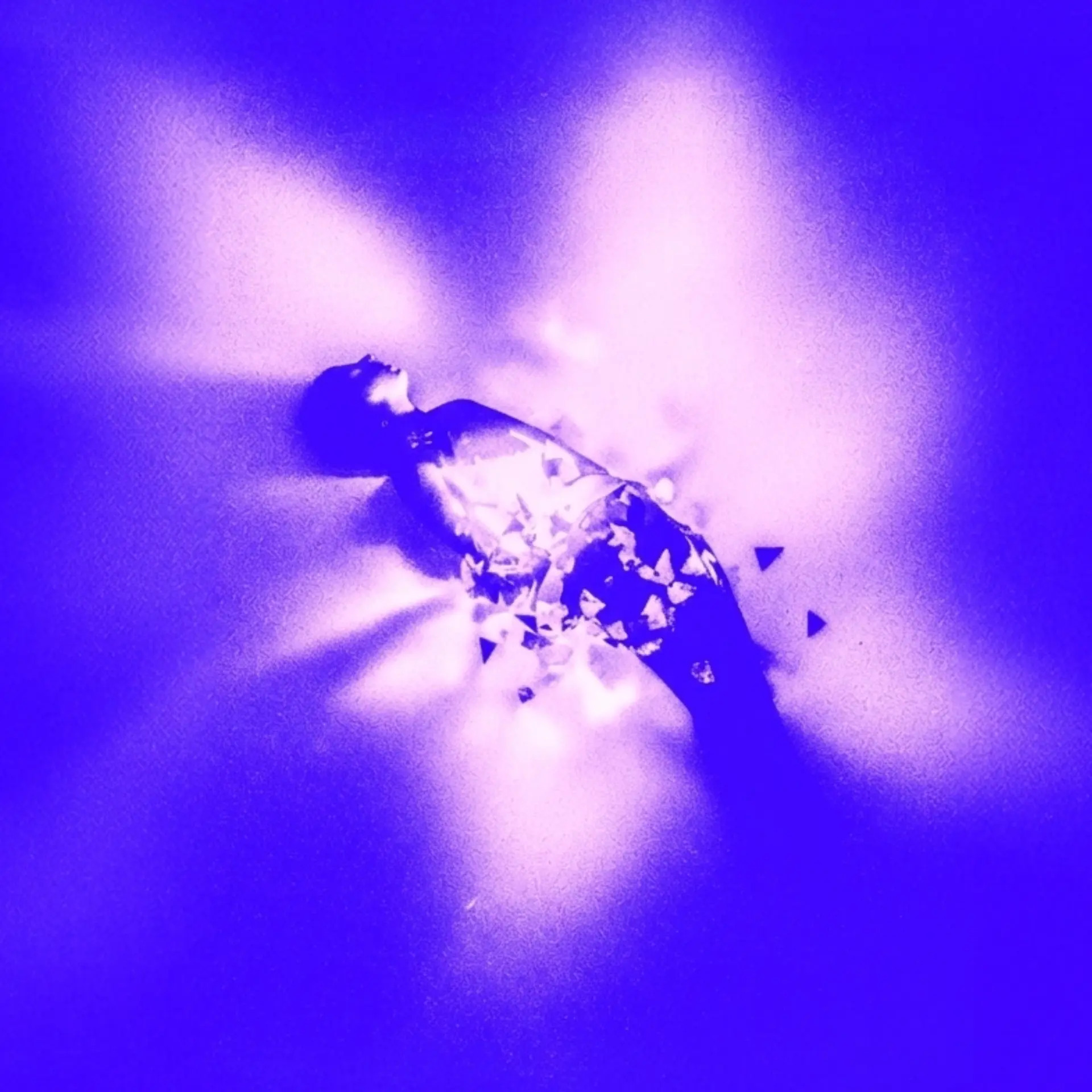 ART MARKET Curated Program