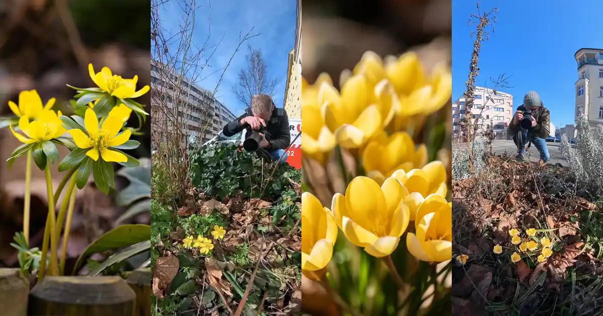 Pixel Pitch • März 2026