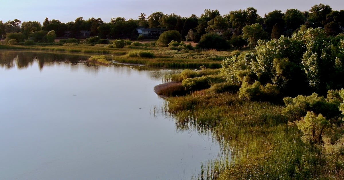 Fifty Plus Fifty More