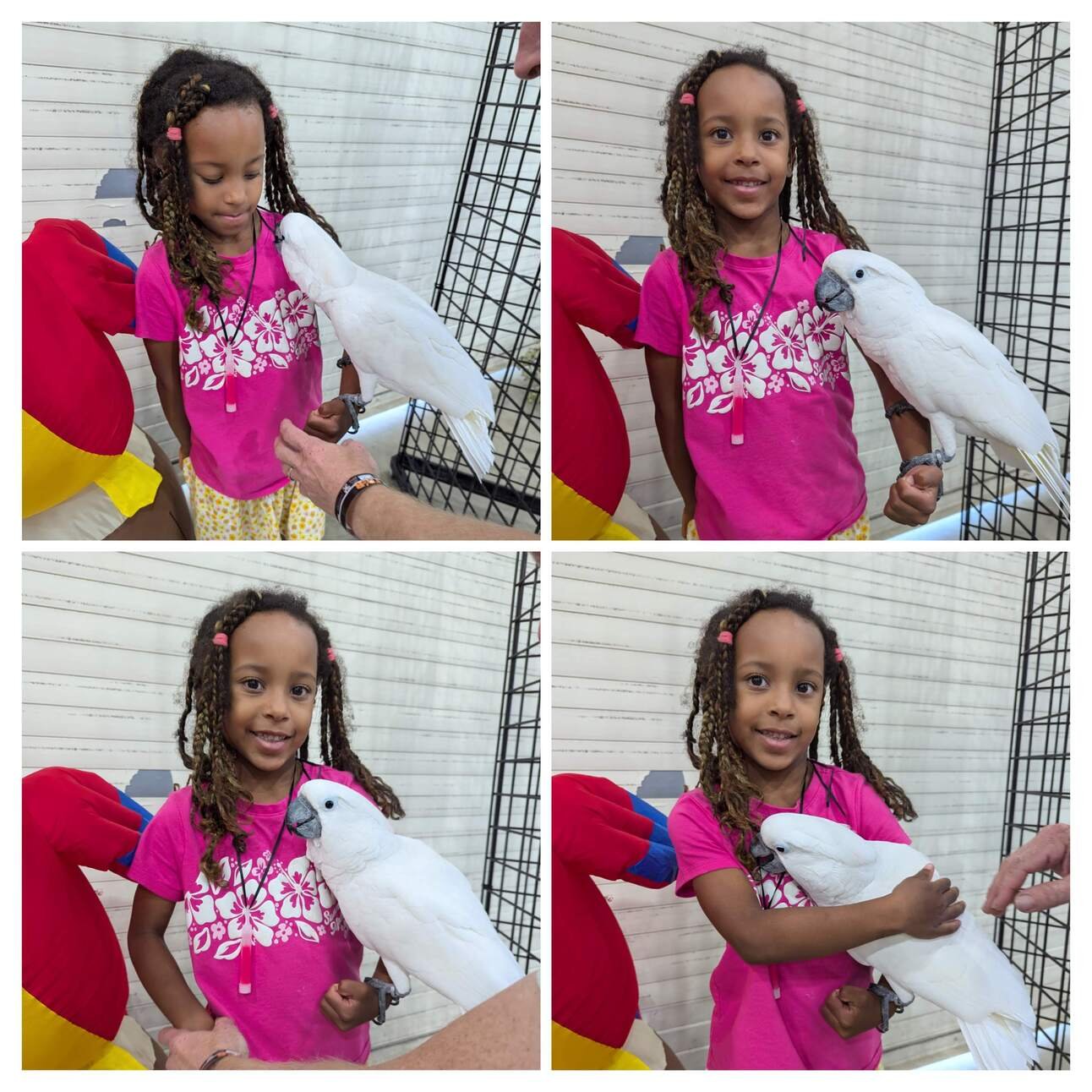 Camille's MRI went well! And a general update.