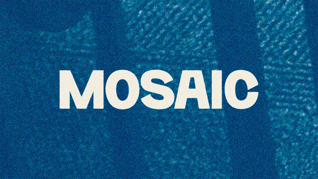 MOSAIC 004 — Black Friday Deals You'll Actually Like