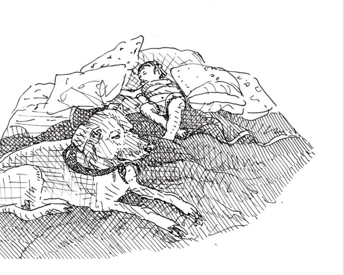 Dog Songs for Lost People