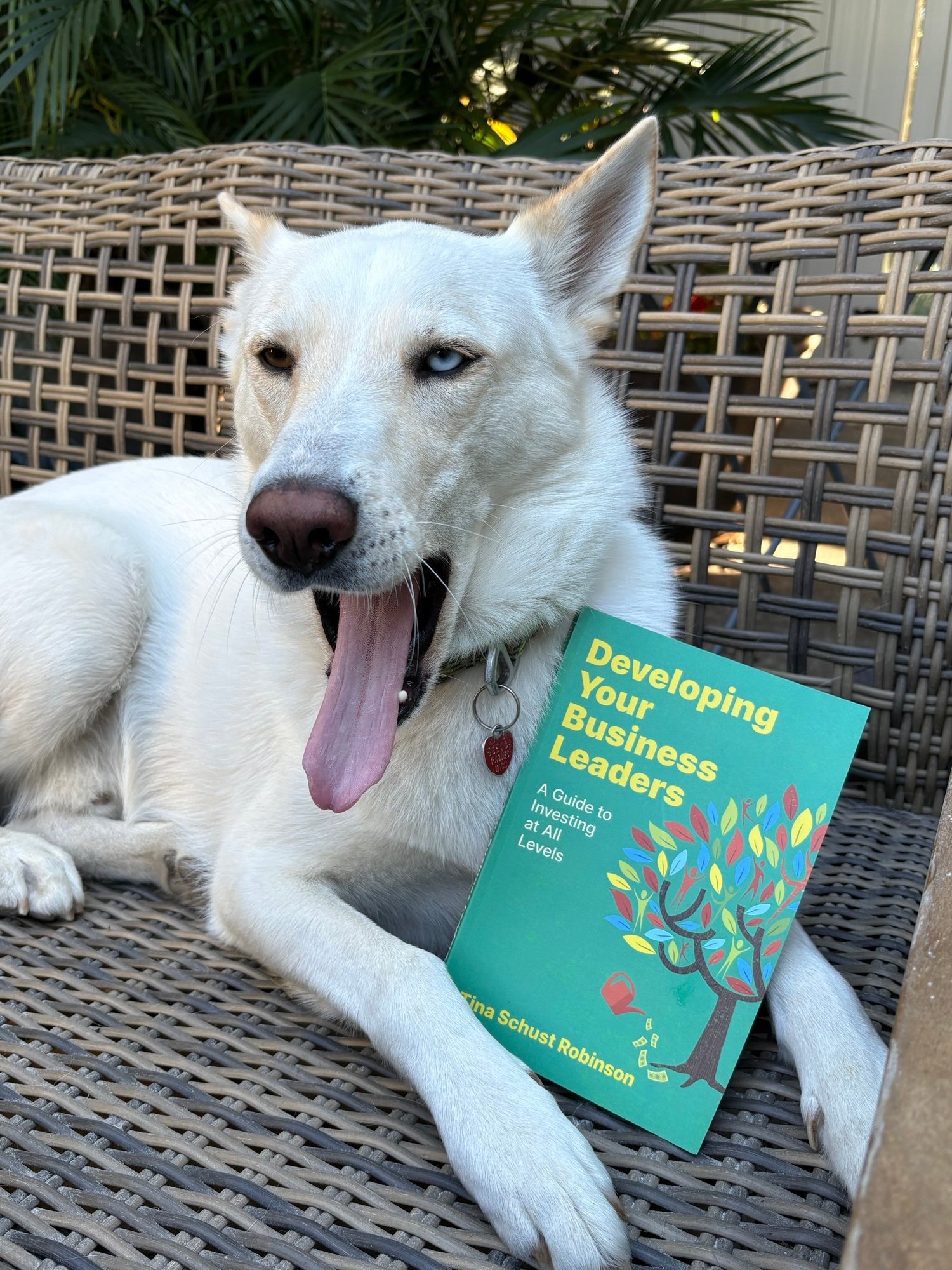 Most leaders care. So why doesn’t it feel like it?