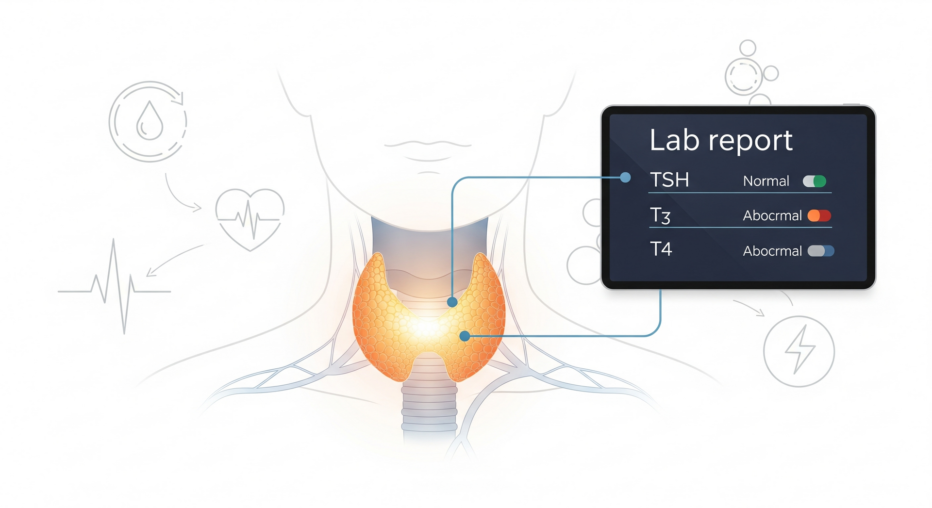 TSH & Thyroid Tests: What They Reveal About Your Health