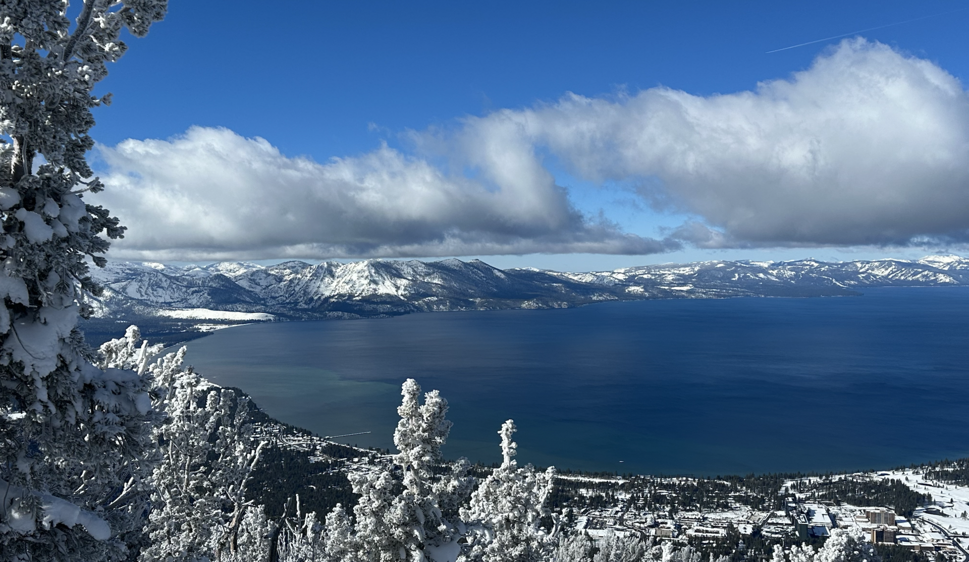 South Lake Scoop: Week of 01/12