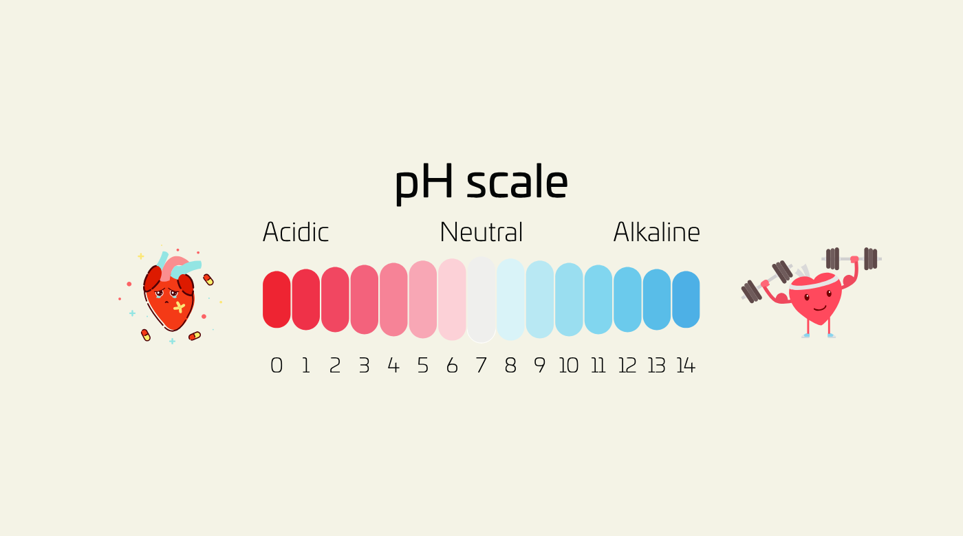 The Link Between Alkaline Foods and Body Health