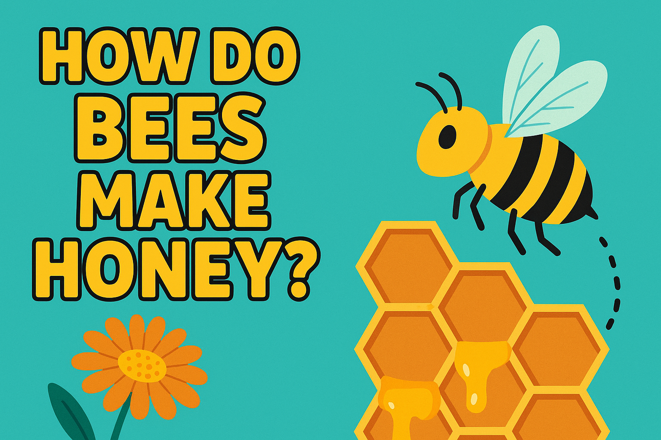 How Do Bees Make Honey?