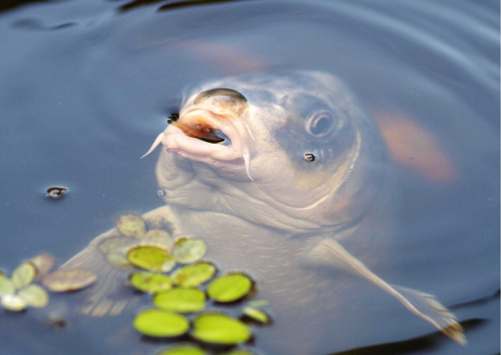 On writing and sharing a ghost story for Christmas