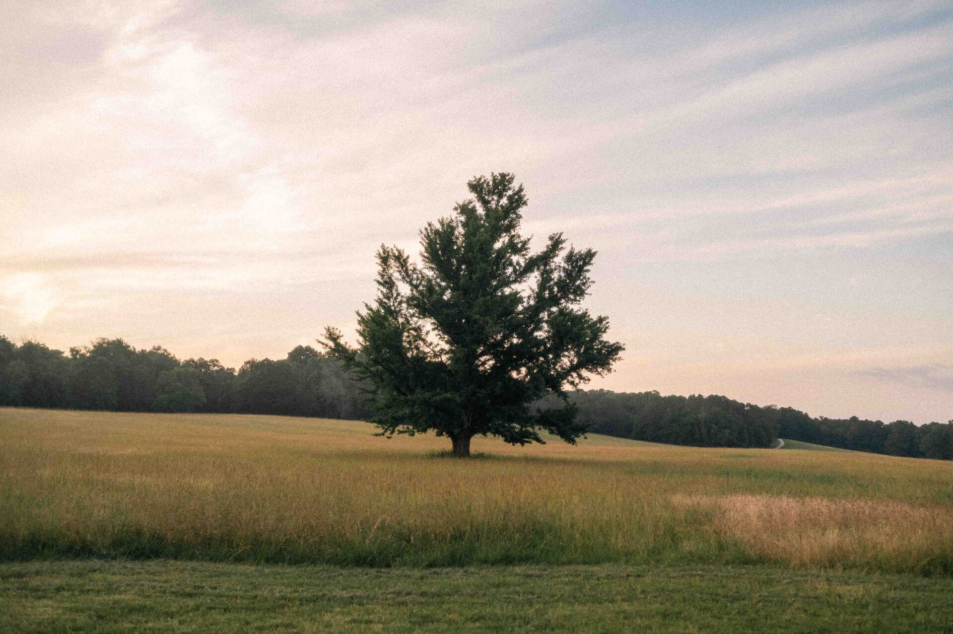 5 Mid-Summer Photoshoot Locations in Chattanooga