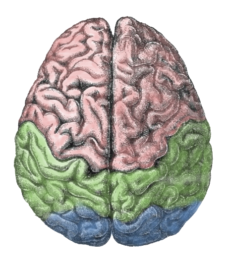 Why Lefties are Often Left Out