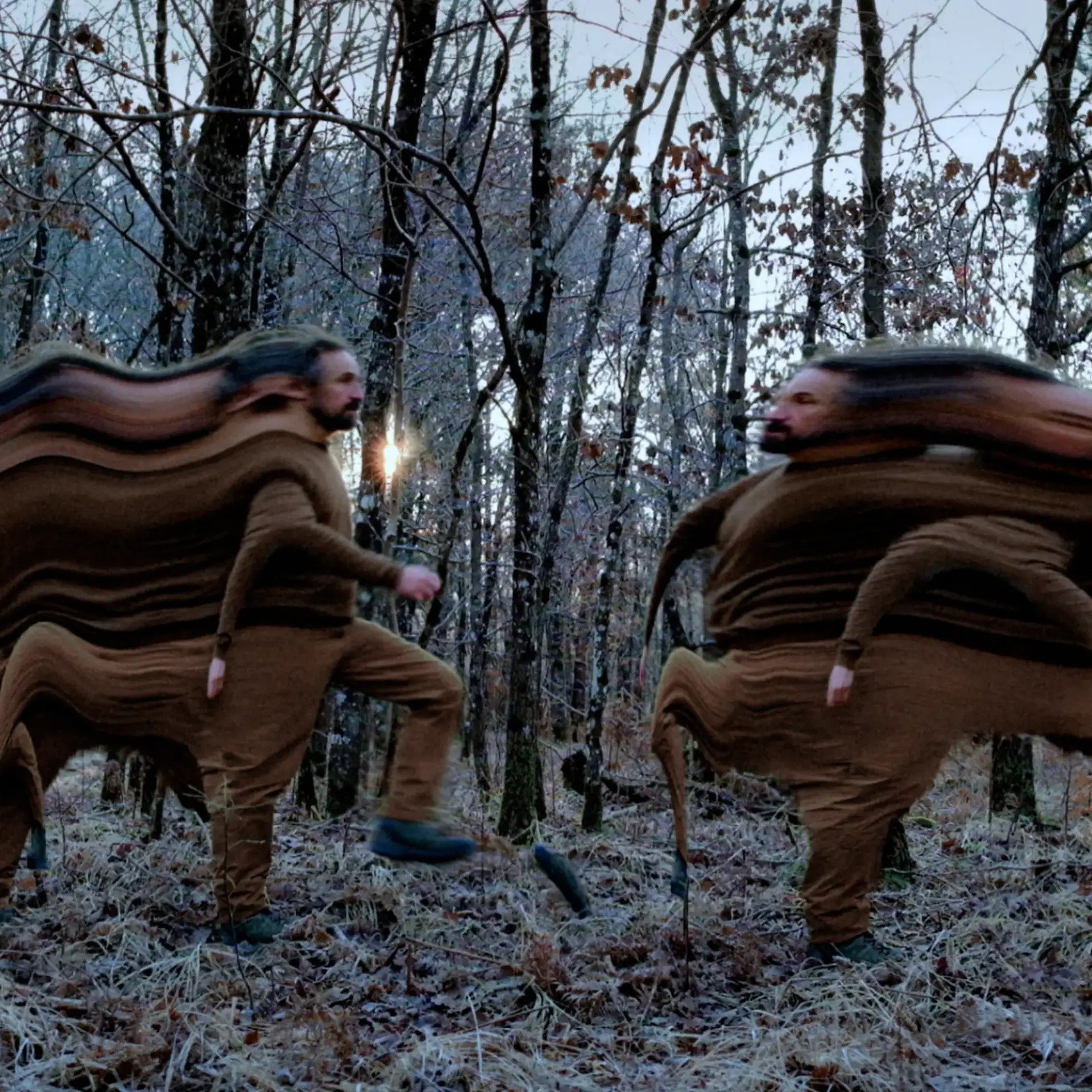 François Vogel ::  Entro_py  