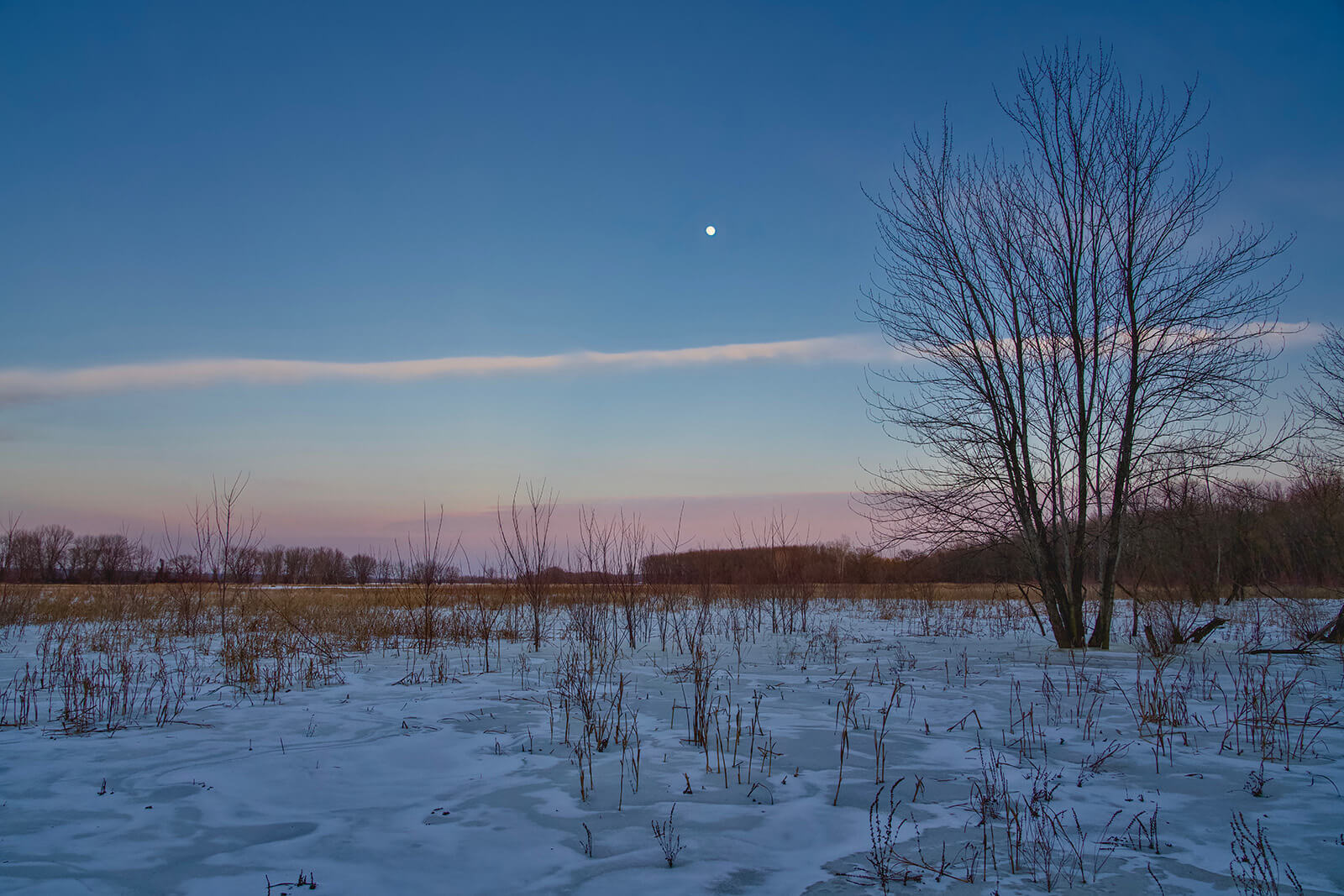 Edition no.43 - Jan 1, 2026